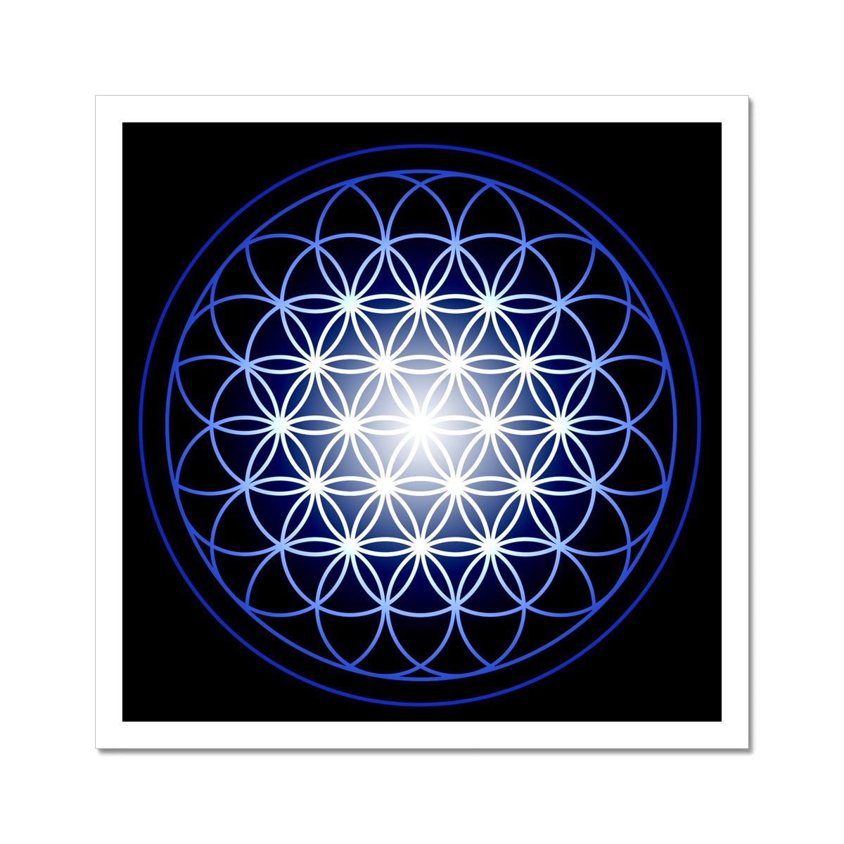 Flower of Life in Blue Print C-Type Print - Nature of Flowers