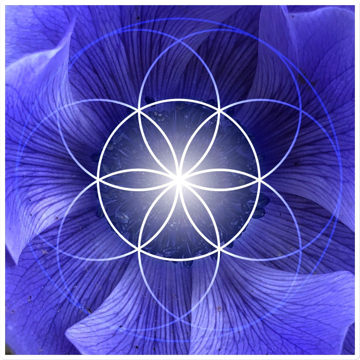 Blue Flower Seed of Life Sticker - Nature of Flowers