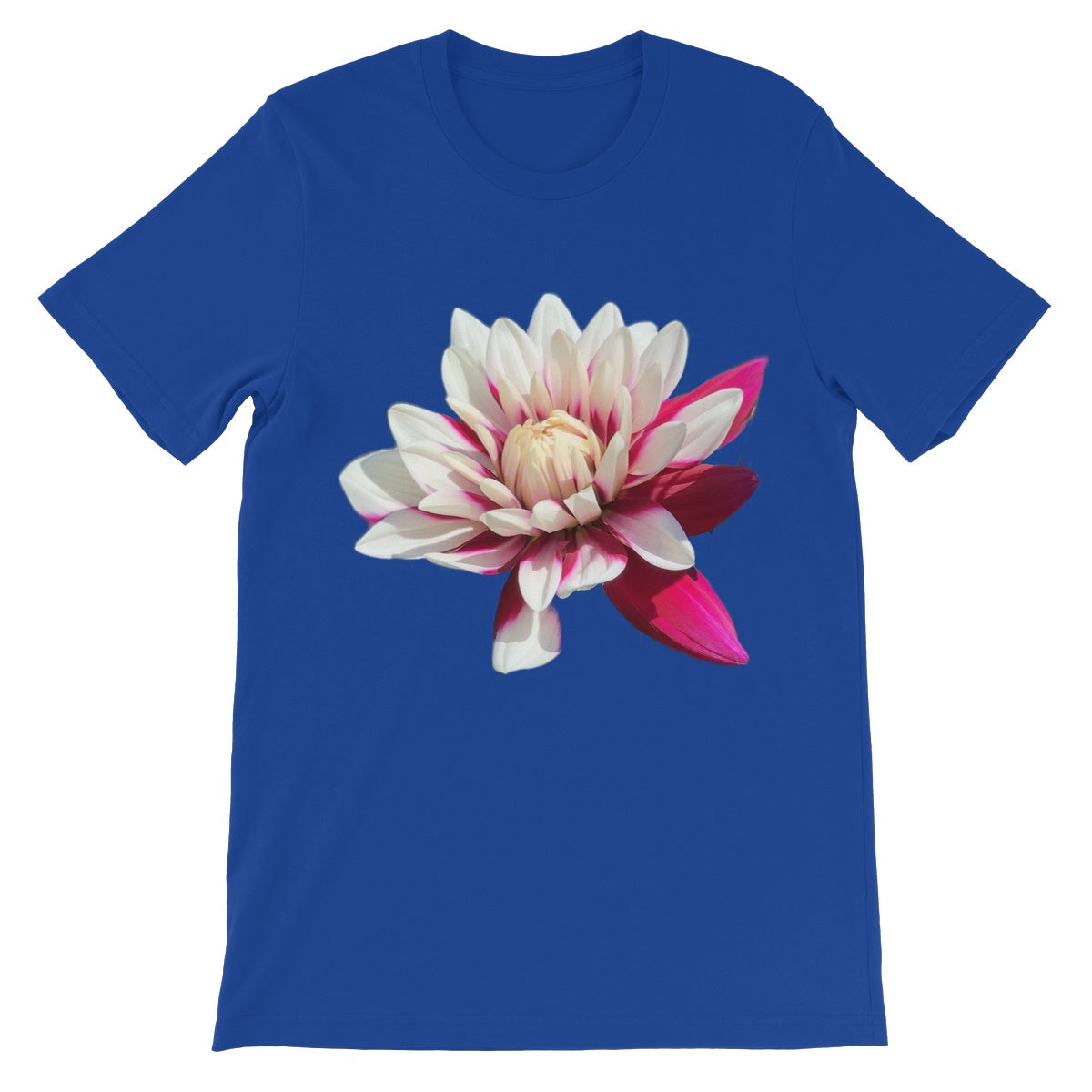 Pink Dahlia Unisex Short Sleeve T-Shirt - Nature of Flowers