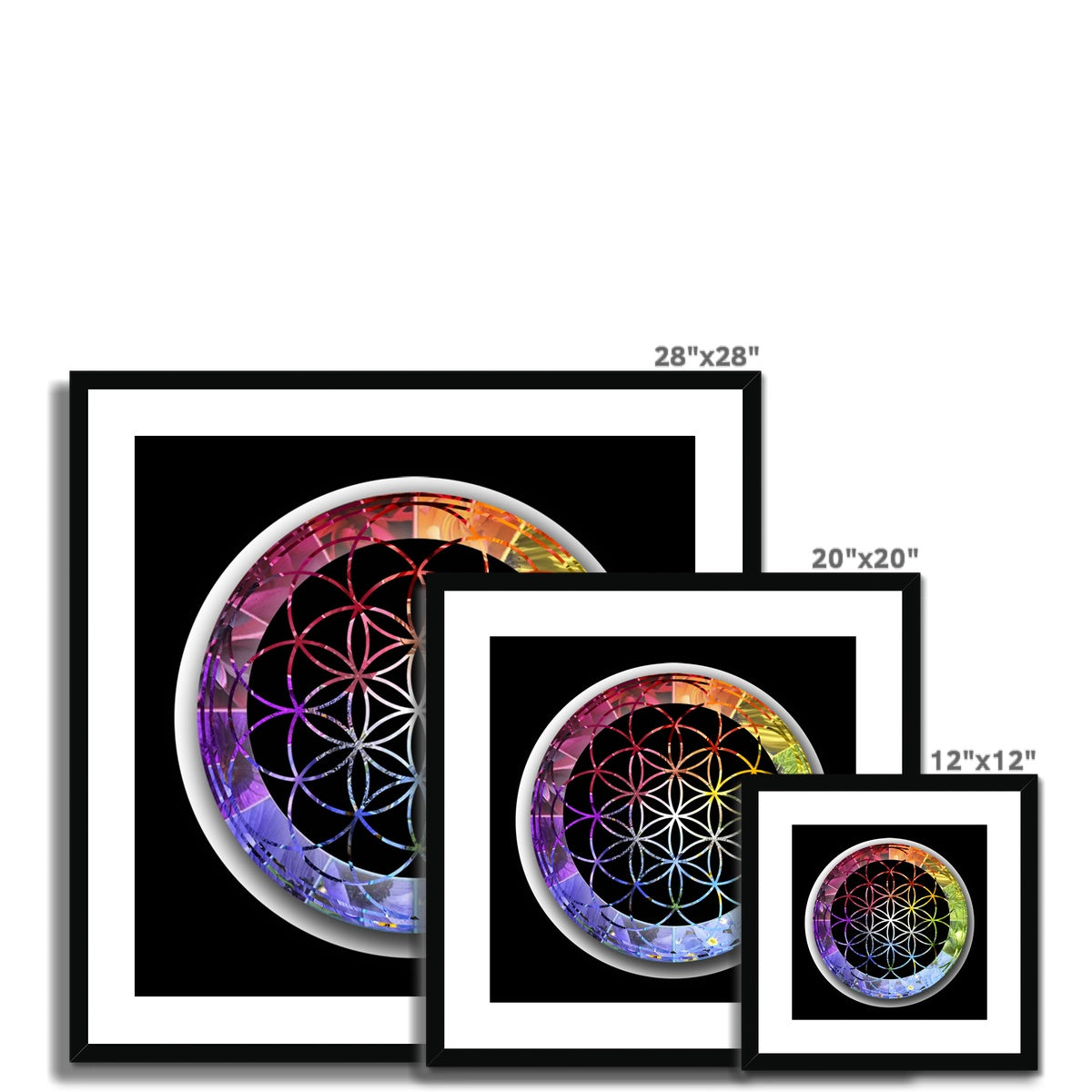 Flower of Life Rainbow Print Framed & Mounted Print - Nature of Flowers