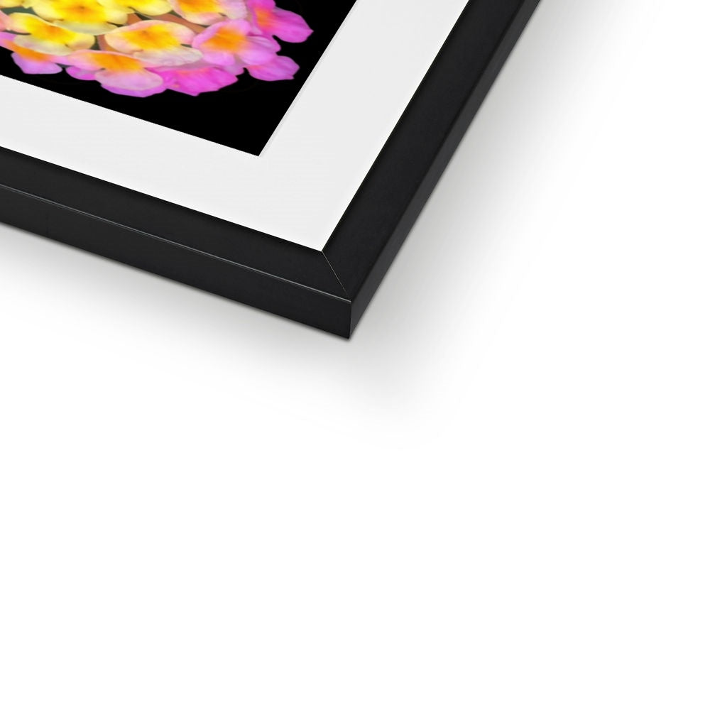 The Geometry of a Flower 2 Framed & Mounted Print