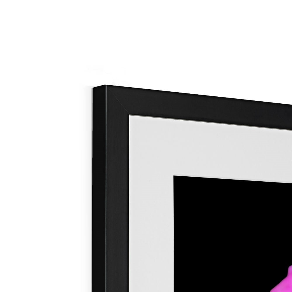 Pink Orange Flower Print 'Lantana Camara' Framed & Mounted Print - Nature of Flowers