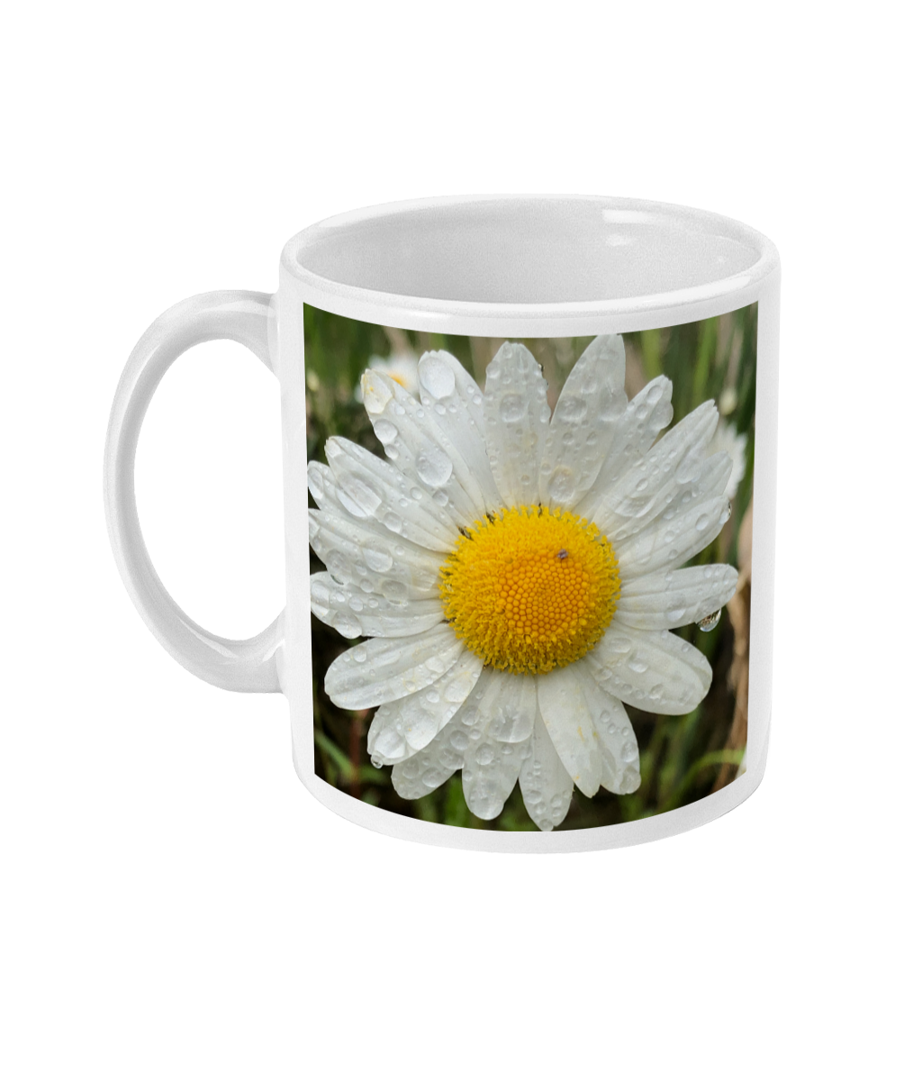 “After the Rain” Daisy  Double Flower Mug - Nature of Flowers