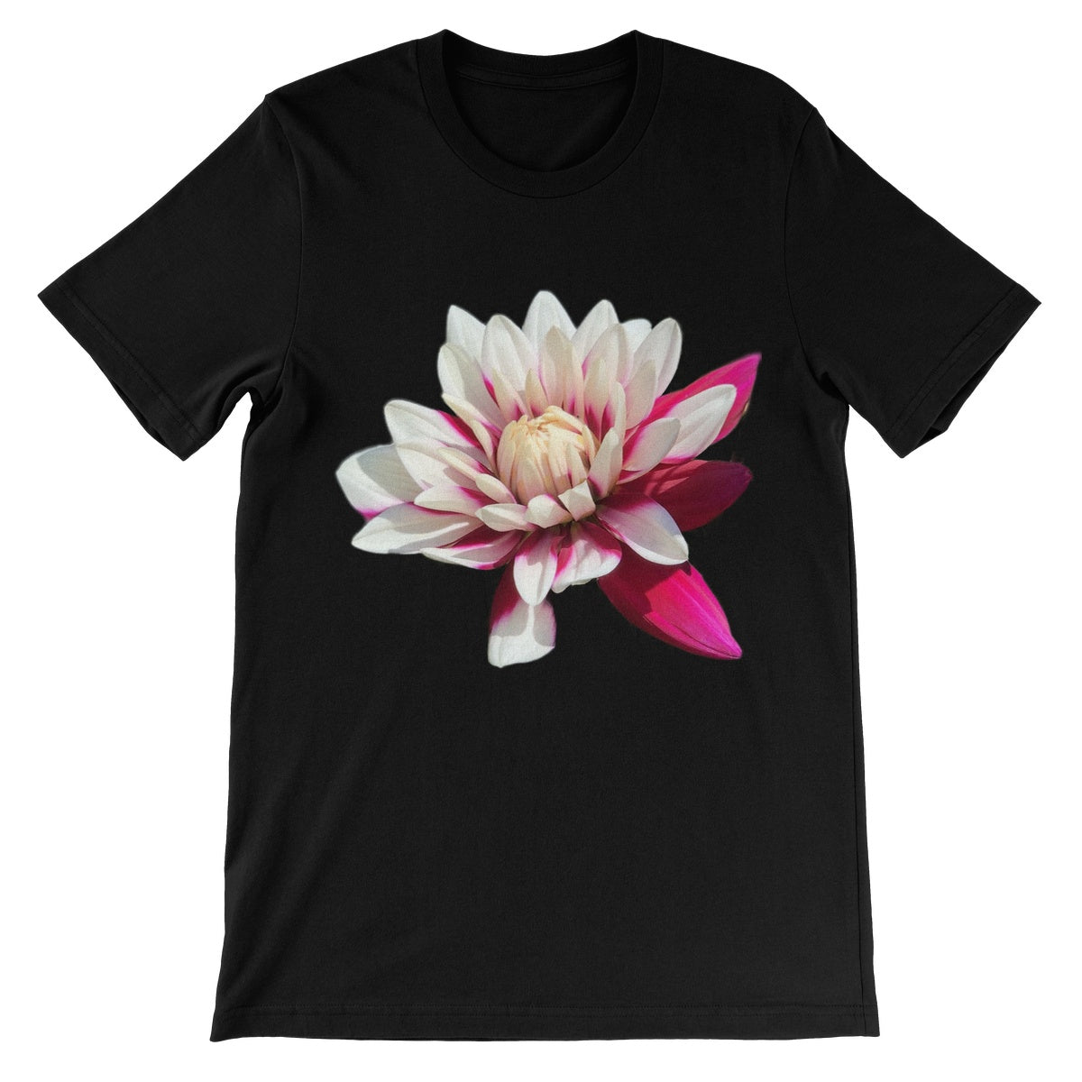 Pink Dahlia Unisex Short Sleeve T-Shirt - Nature of Flowers