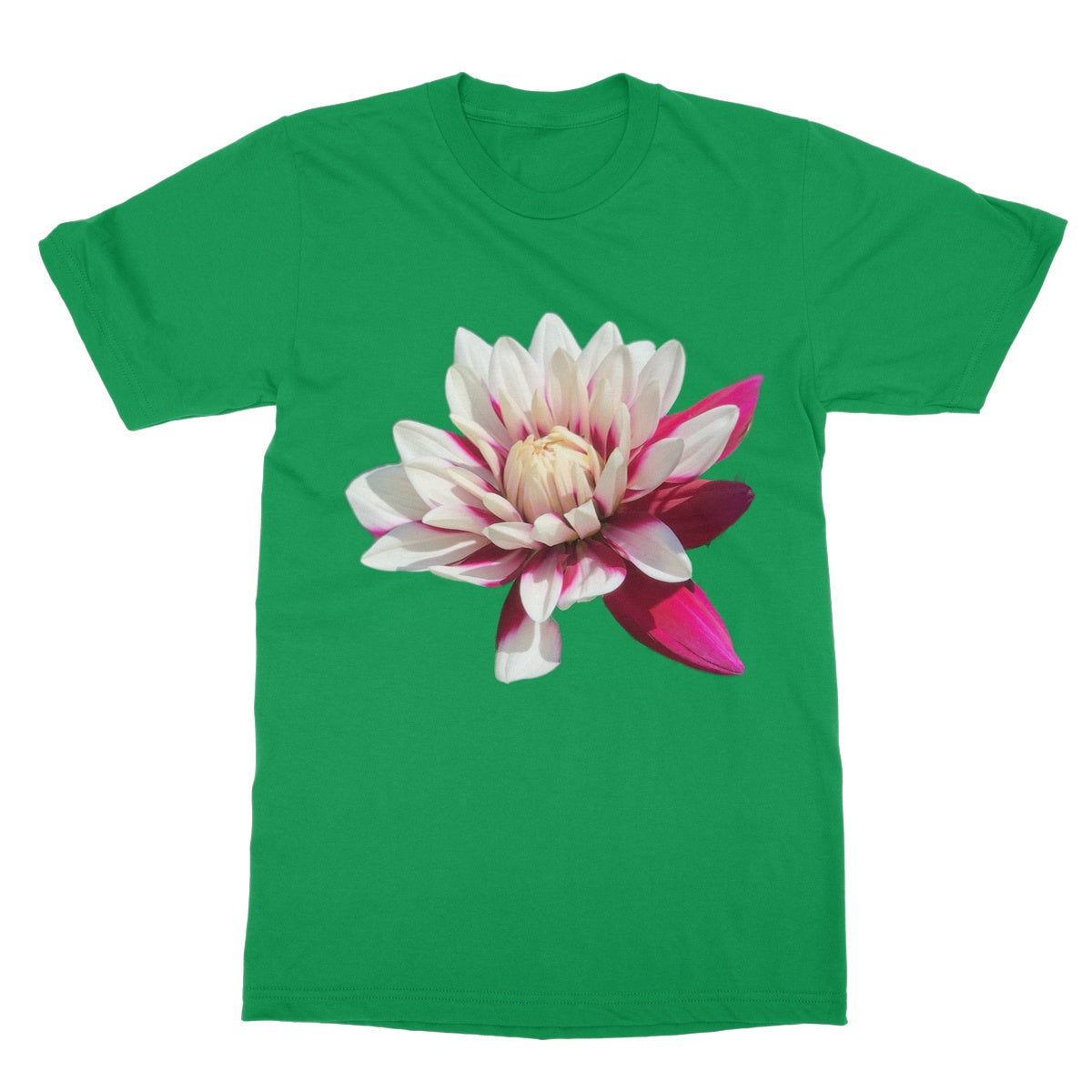Pink Dahlia Softstyle T-Shirt