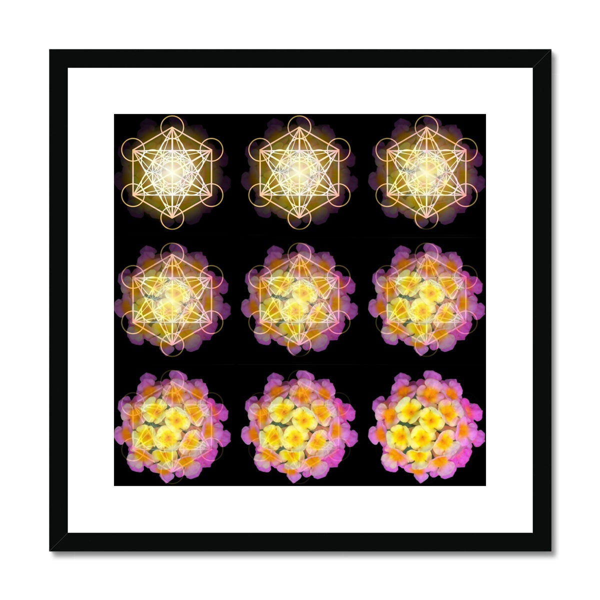 The Geometry of a Flower 2 Framed & Mounted Print