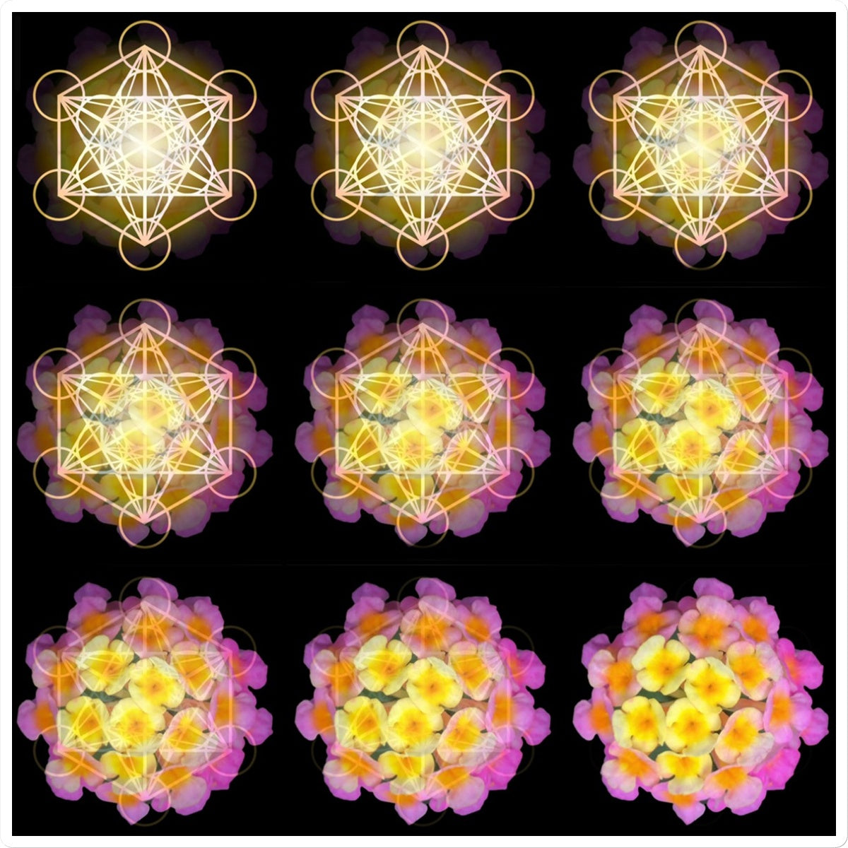 The Geometry of a Flower 2 Sticker