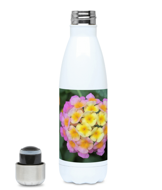"The Rainbow Effect in Bloom" Yellow Orange Pink Flower 500ml Water Bottle - Nature of Flowers