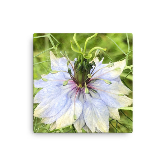 "The joy of having time" Blue Flower Canvas - Nature of Flowers