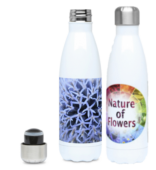 Designer Water Bottles