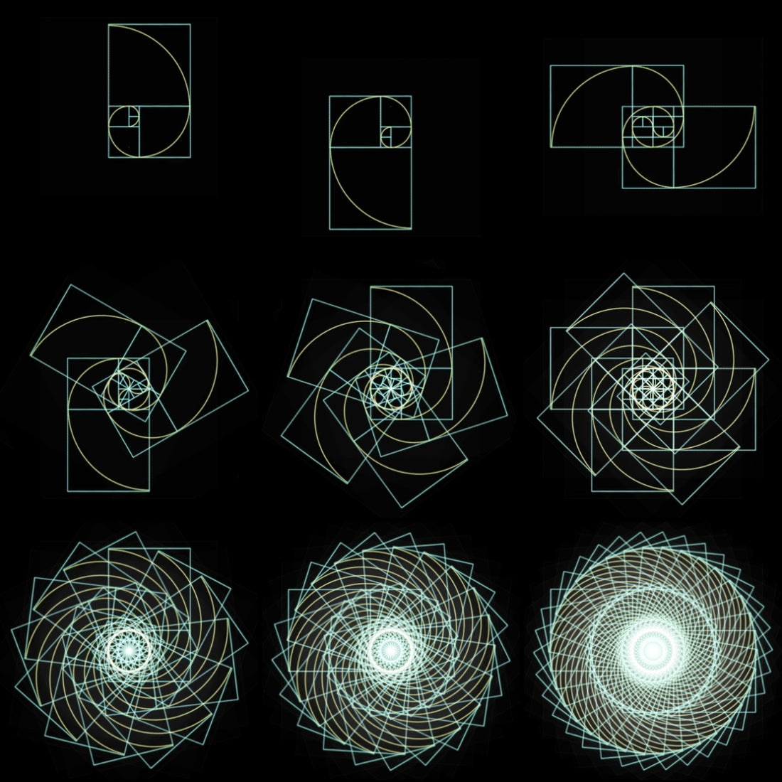 Unveiling the Mysteries of the Fibonacci Sequence: Nature's Mathematical Marvel.