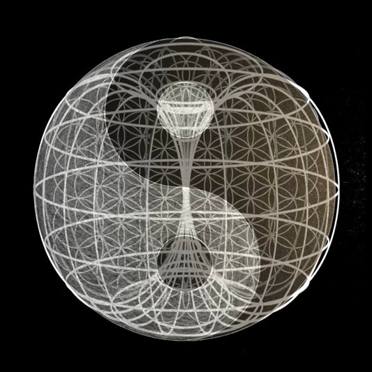 Exploring the Fusion of Yin-Yang and the Torus: A Journey into Sacred Geometry