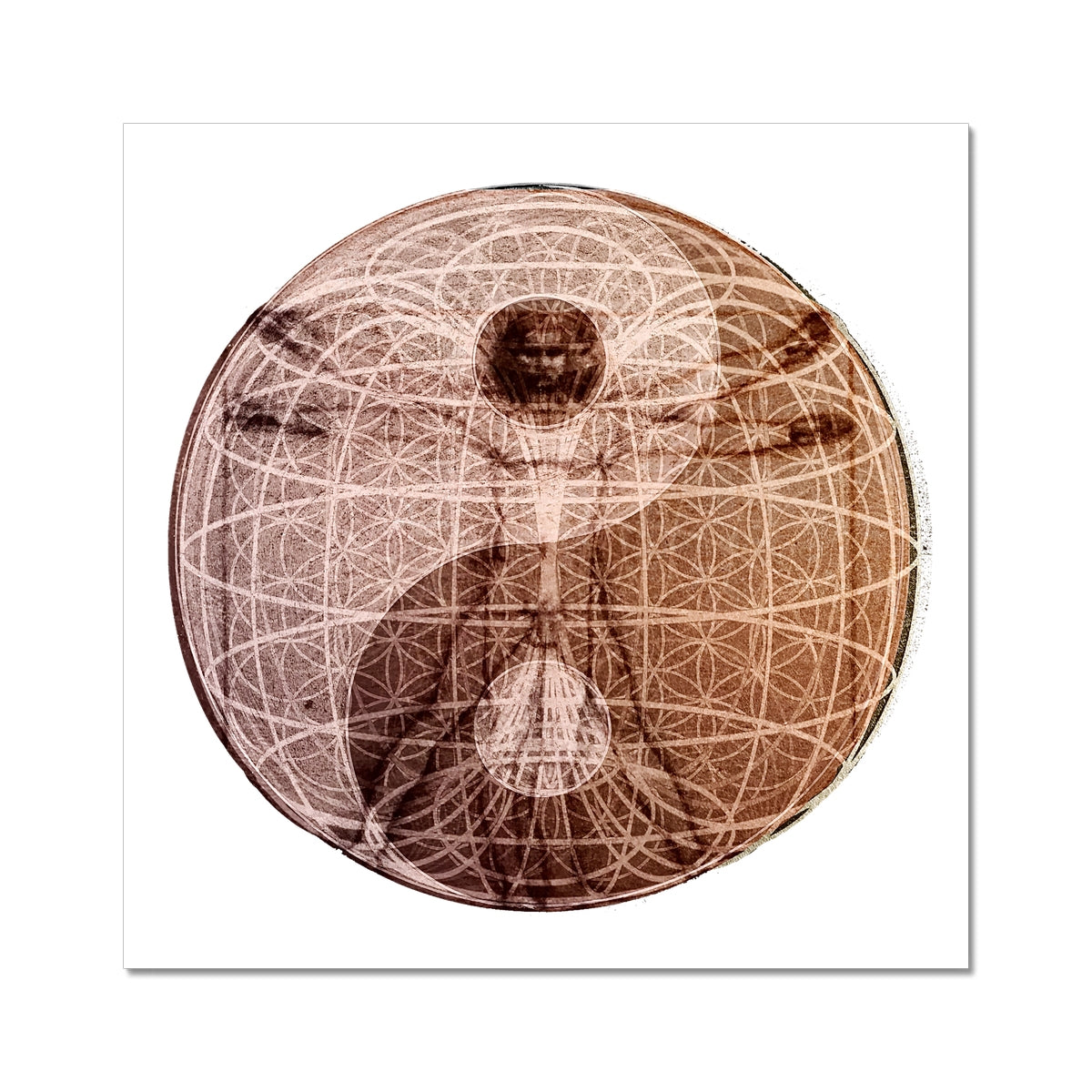 The Sphere of Life Energy C-Type Print