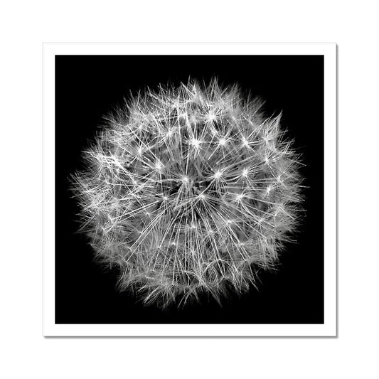 Dandelion Flower Clock C-Type Print