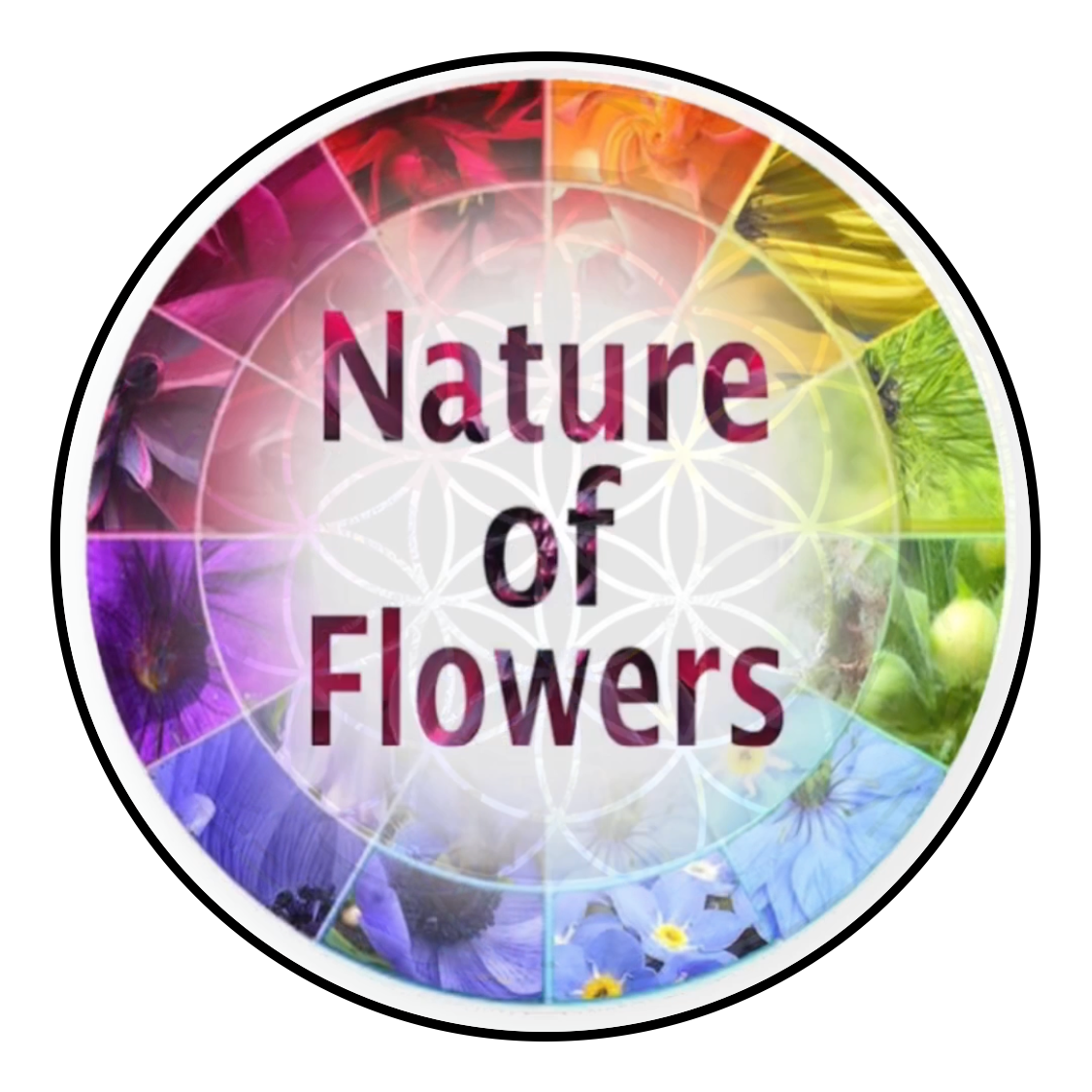 Nature of Flowers