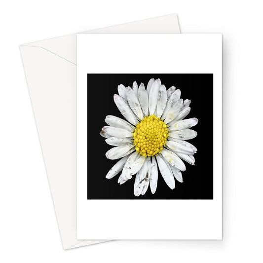 Battered Daisy Greeting Card