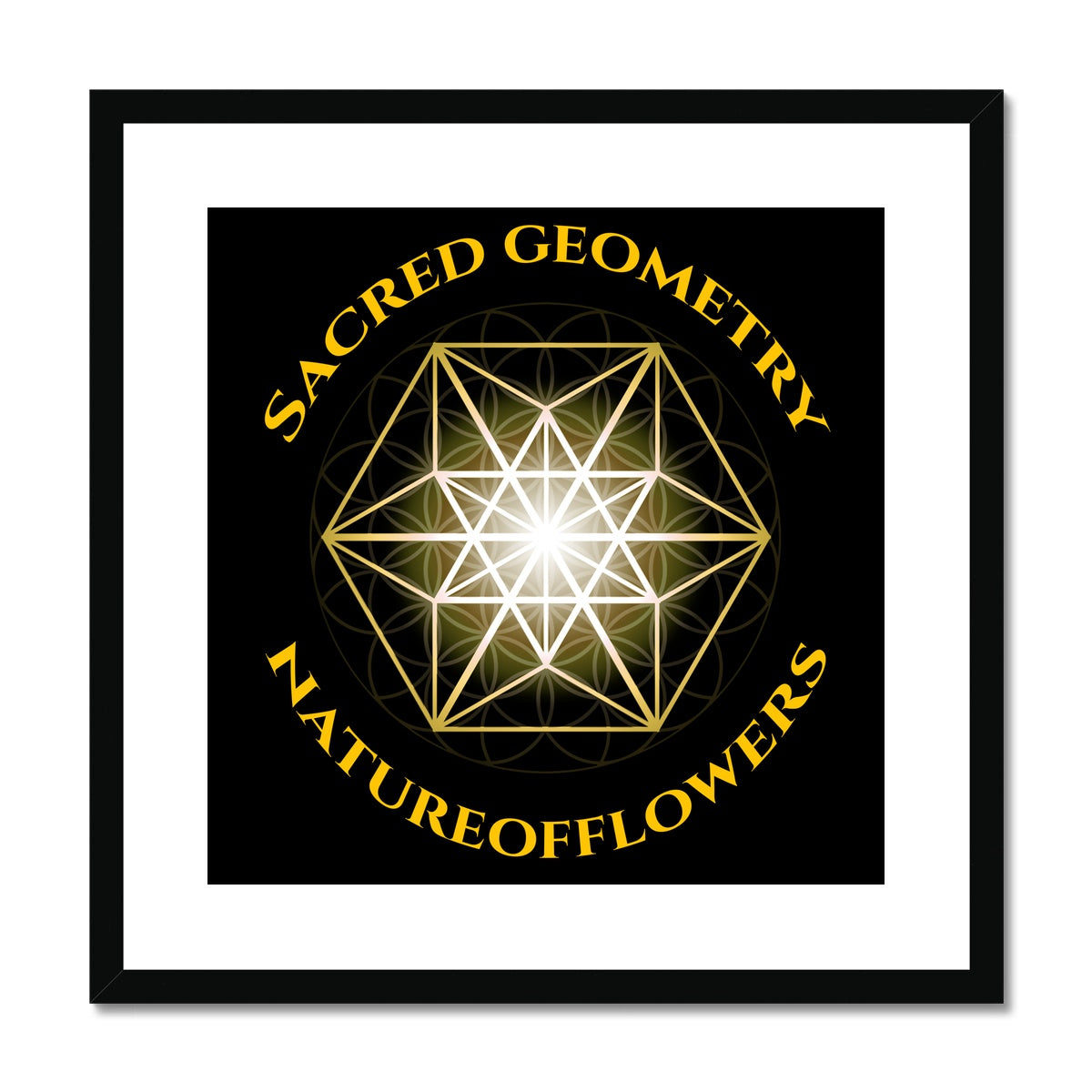 Sacred Geometry Natureofflowers Print Framed & Mounted Print