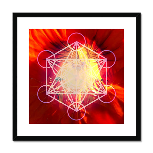 Orange Nasturtium with Metatron’s Cube  Framed & Mounted Print