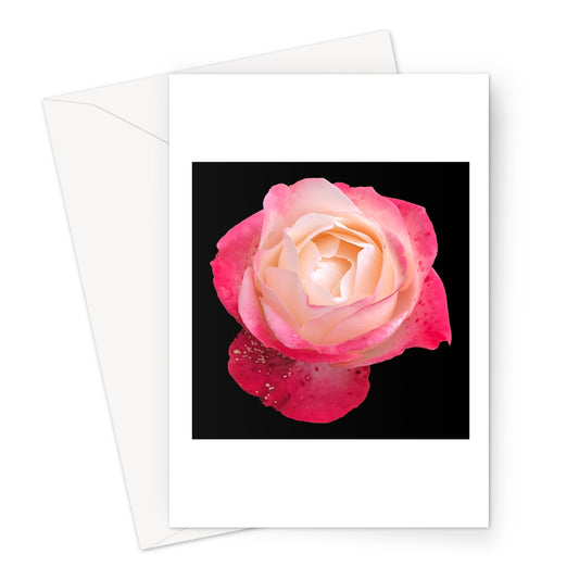 Pink Rose Print Greeting Card