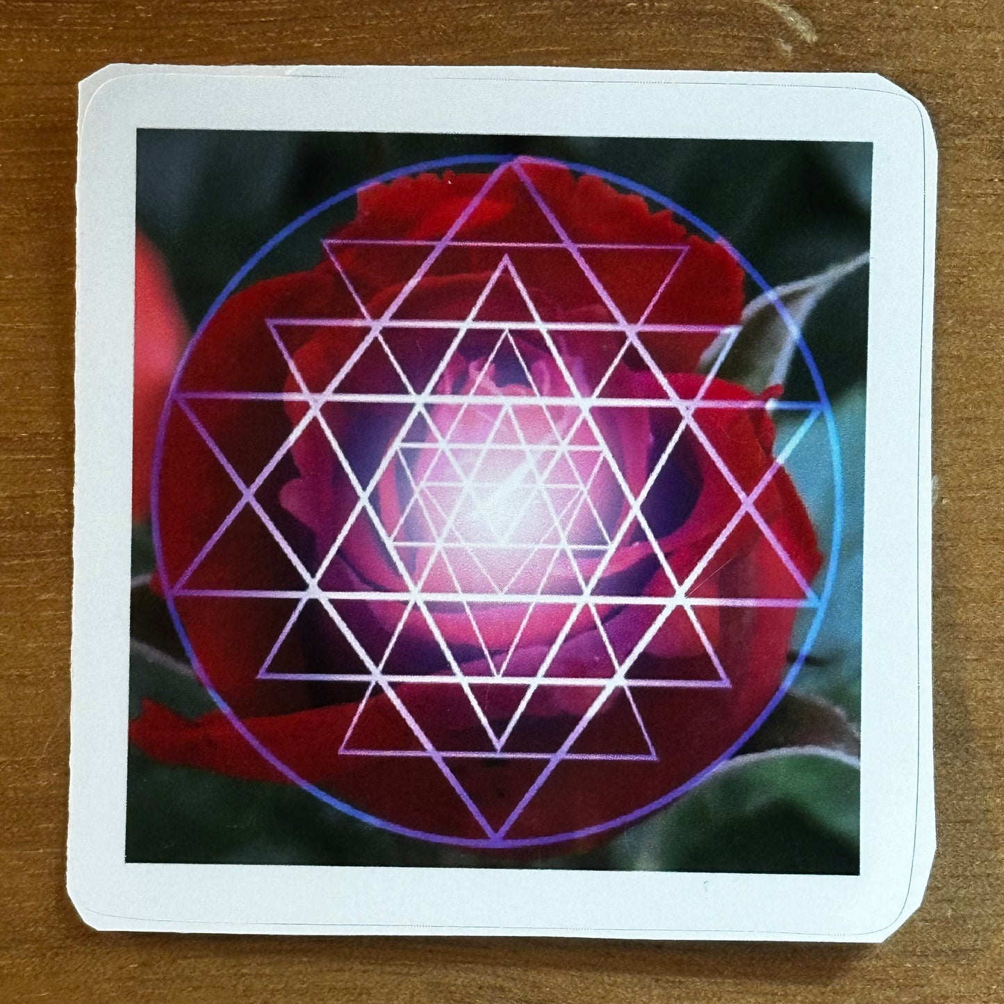 Red Rose Shri Yantra Sticker - Nature of Flowers