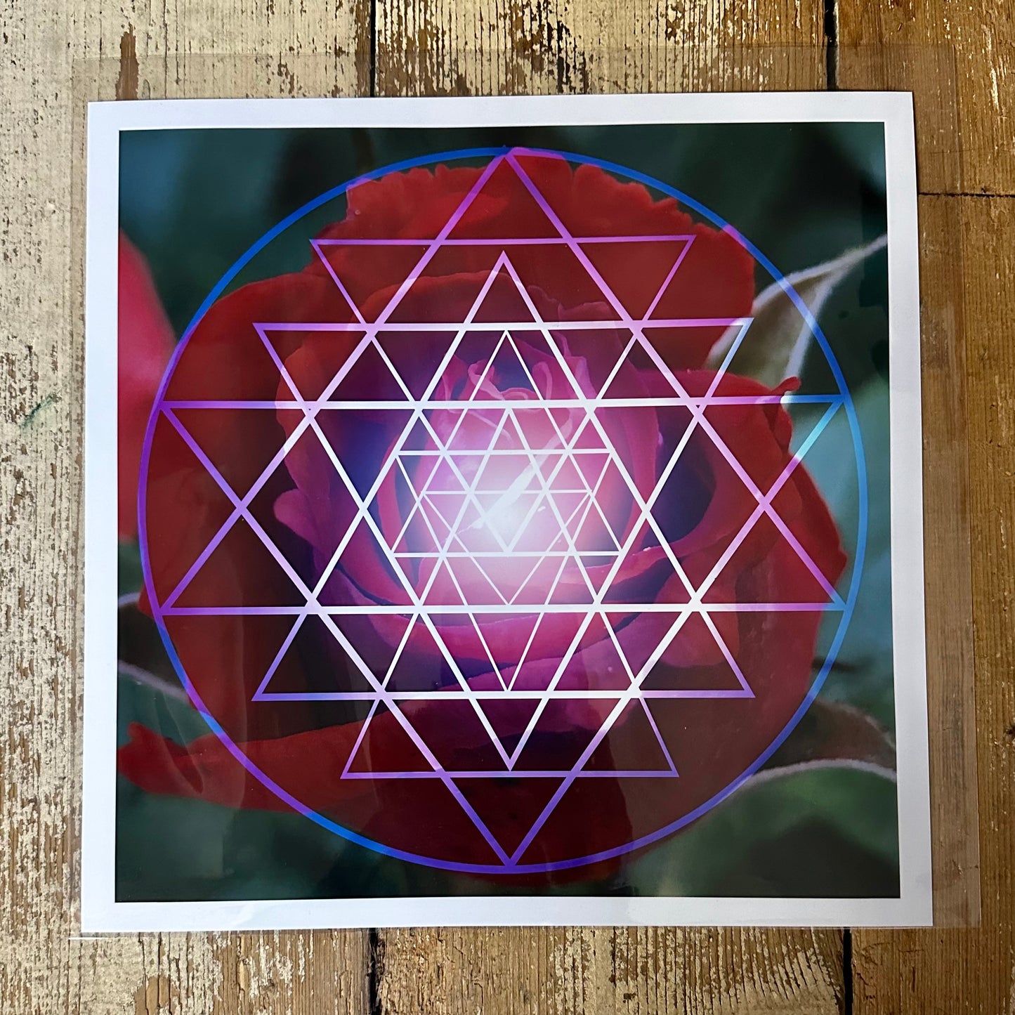 Red Rose Shri Yantra C-Type Print - Nature of Flowers