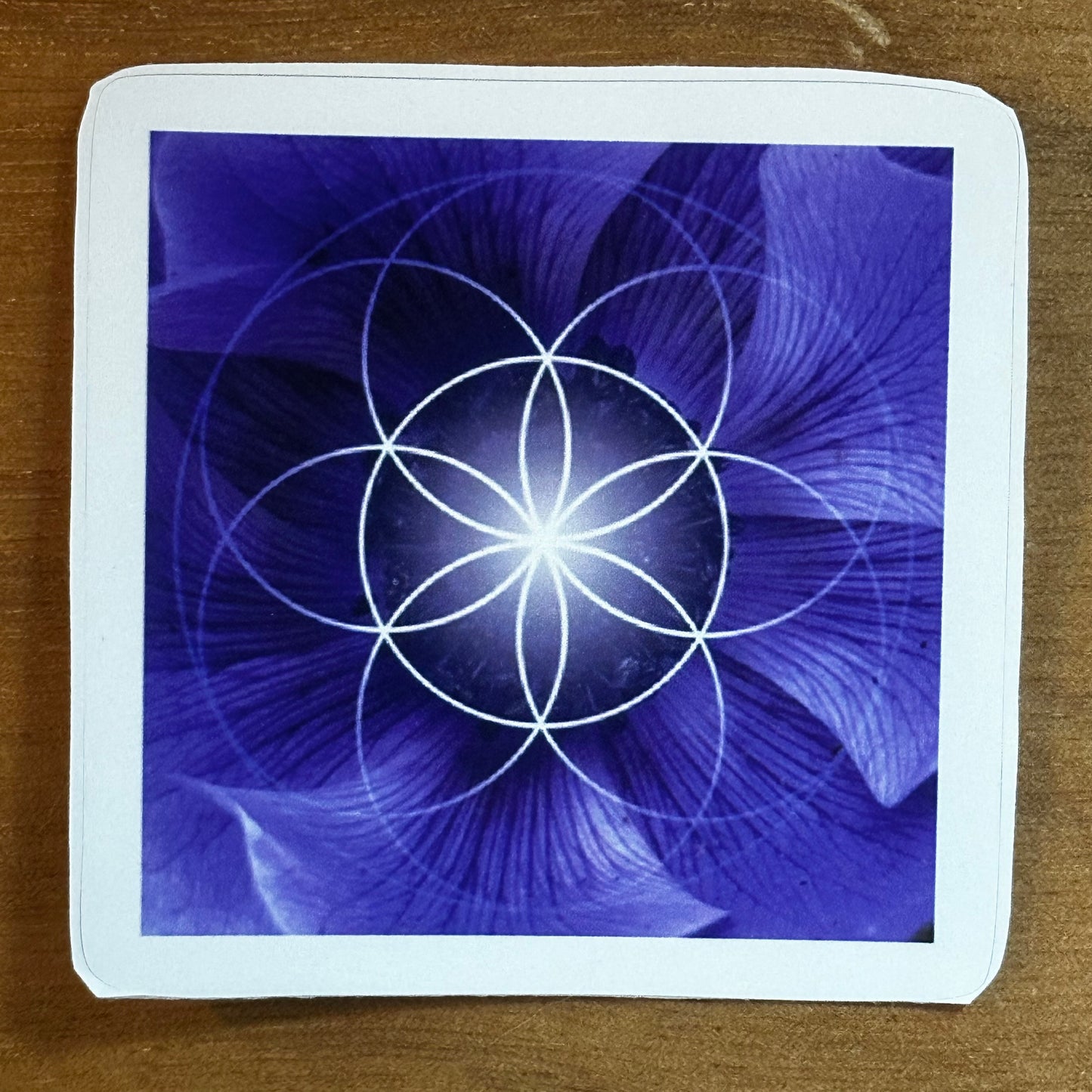 Blue Flower Seed of Life Sticker