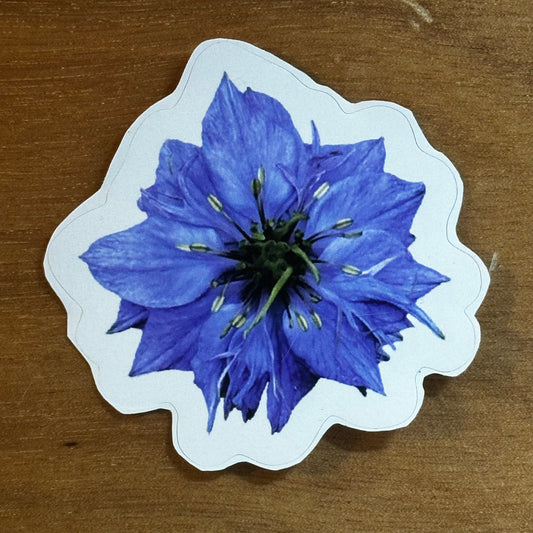 Blue Flower Sticker