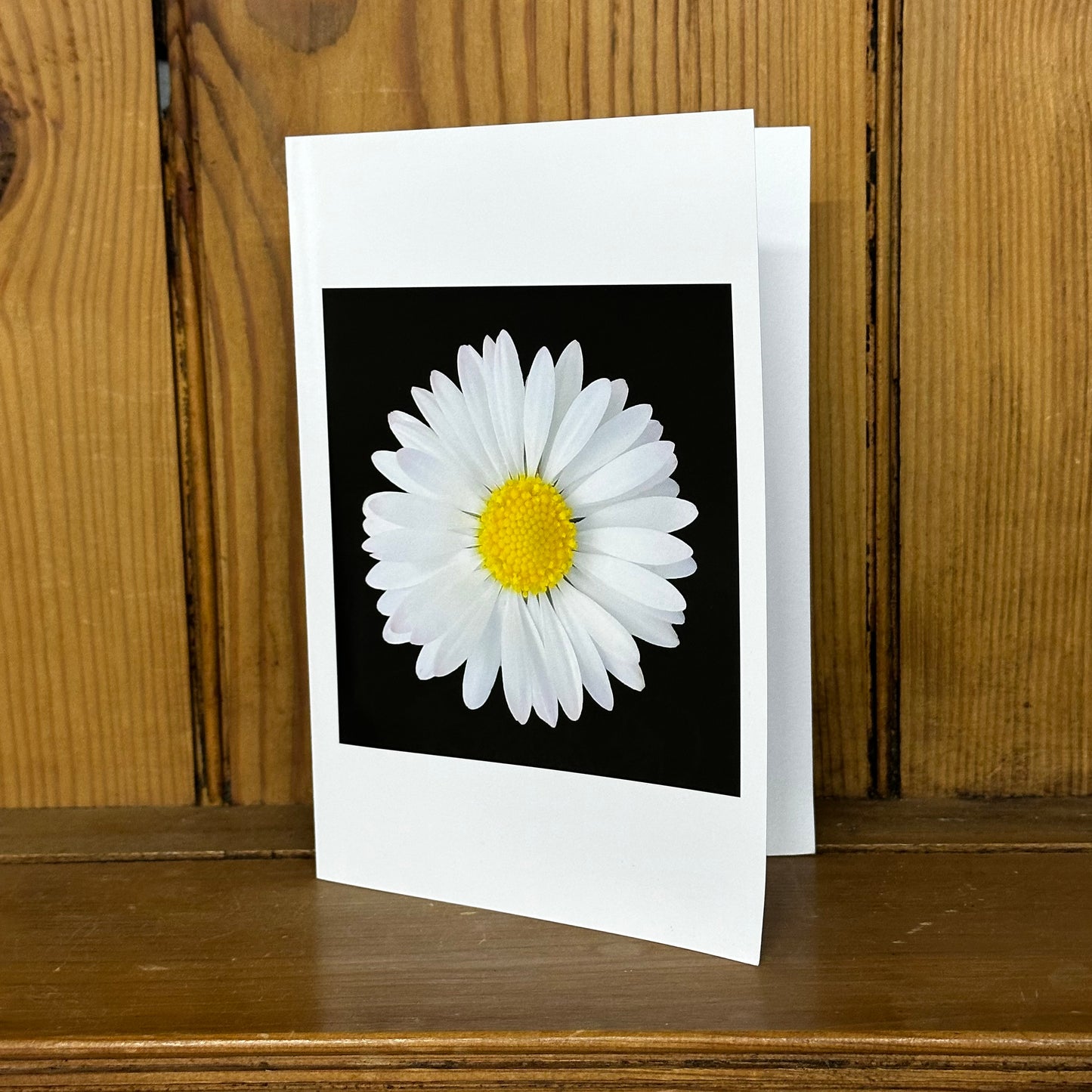 Daisy Print Greeting Card - Nature of Flowers