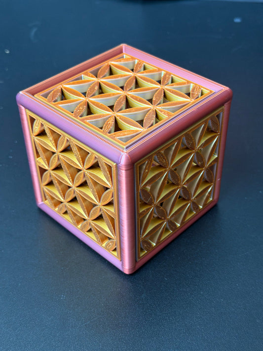 The Infused Cube: Sacred Earth Geometry - Nature of Flowers