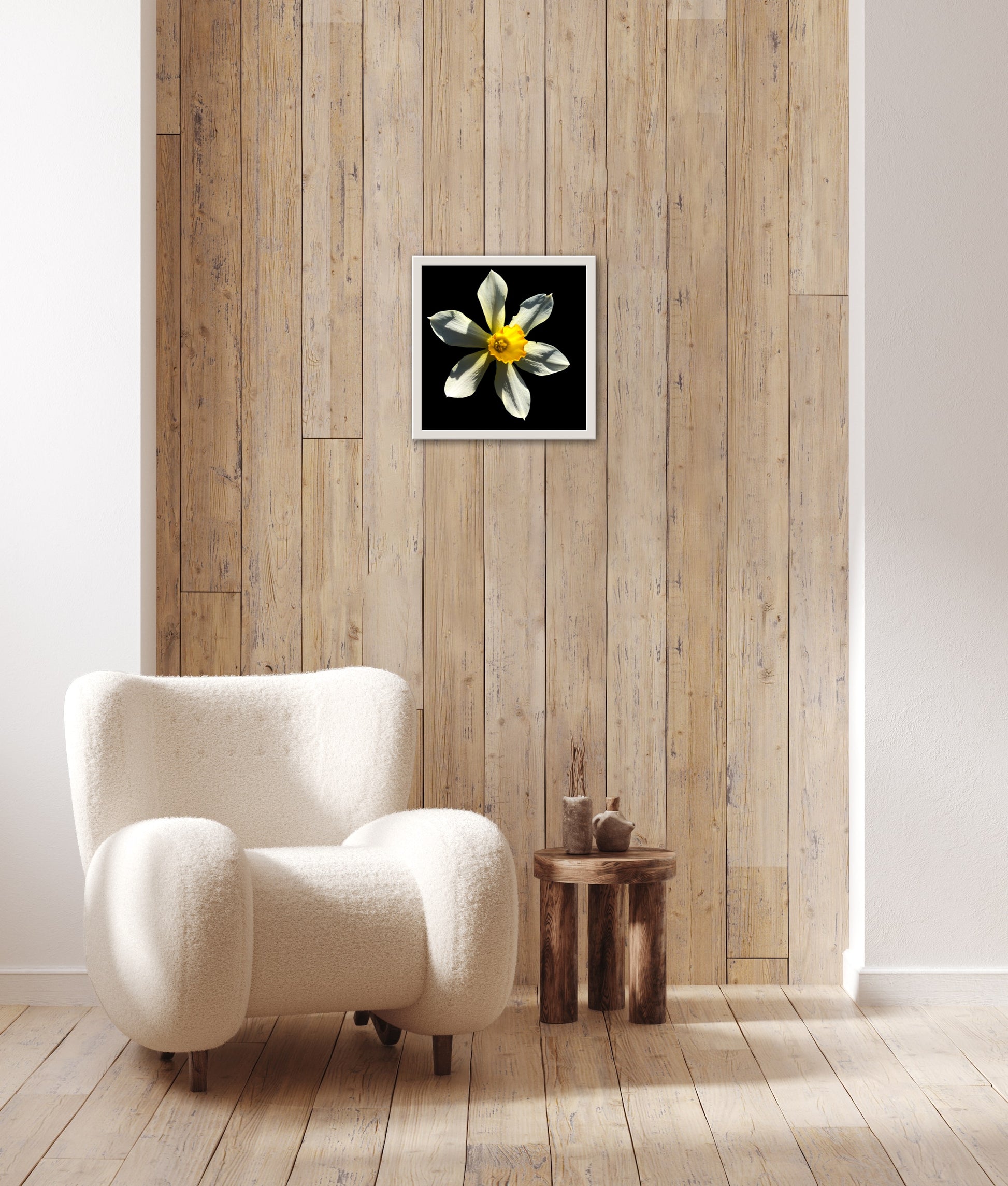 Daffodil Flower Print C-Type Print - Nature of Flowers