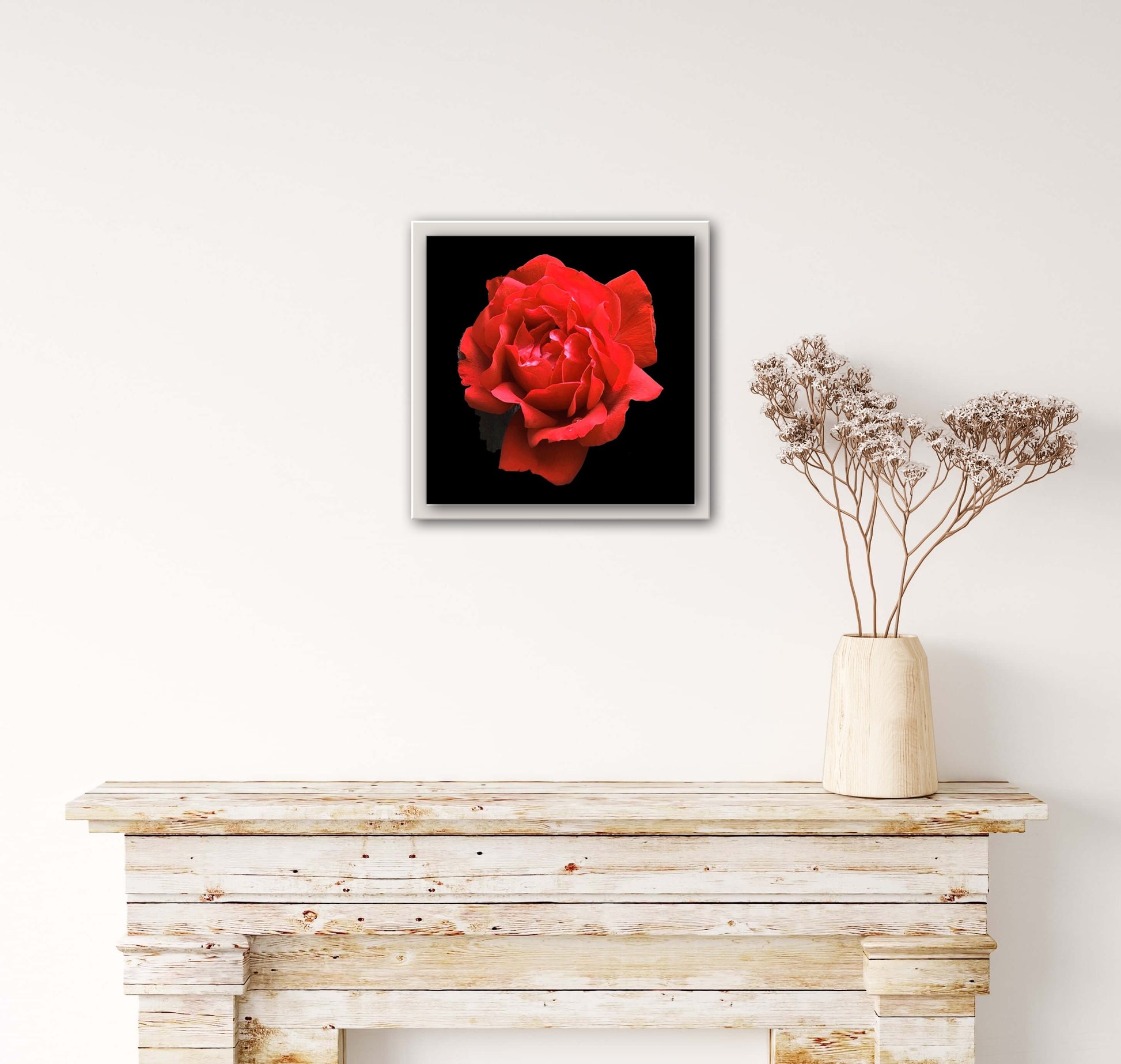 Red Rose Print C-Type Print - Nature of Flowers