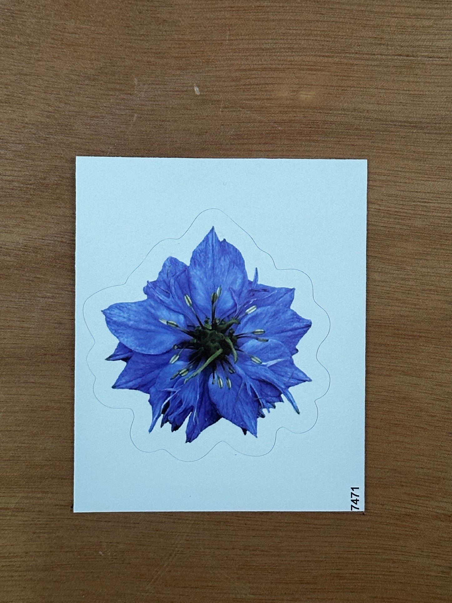 Blue Flower Sticker