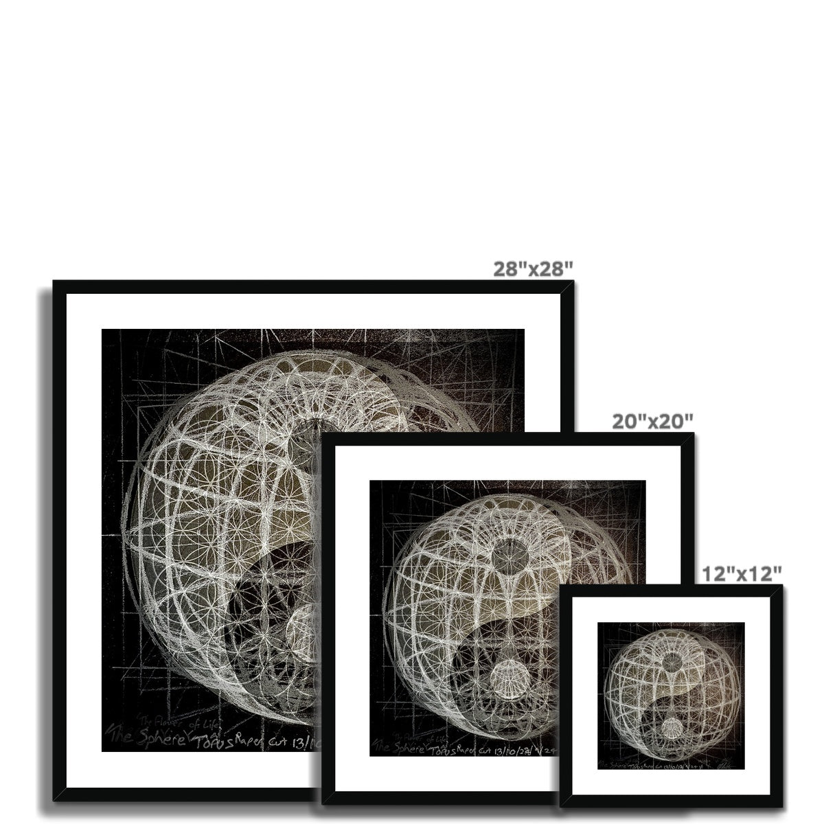 Yin Yang Torus Flower of Life 2 Framed & Mounted Print