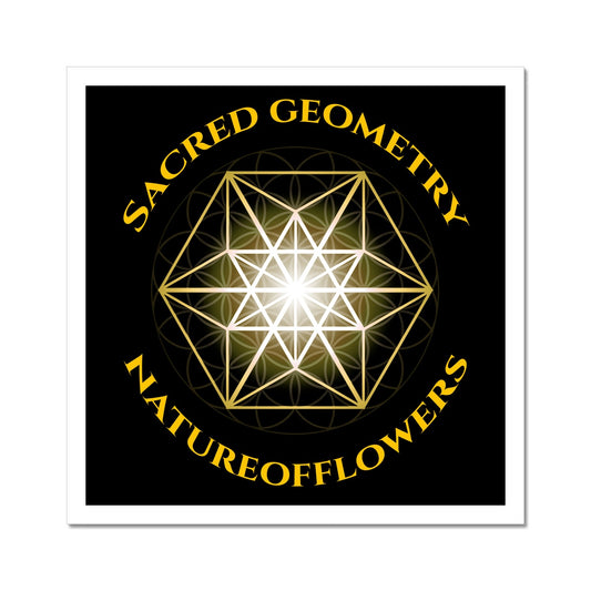 Sacred Geometry Natureofflowers Print C-Type Print