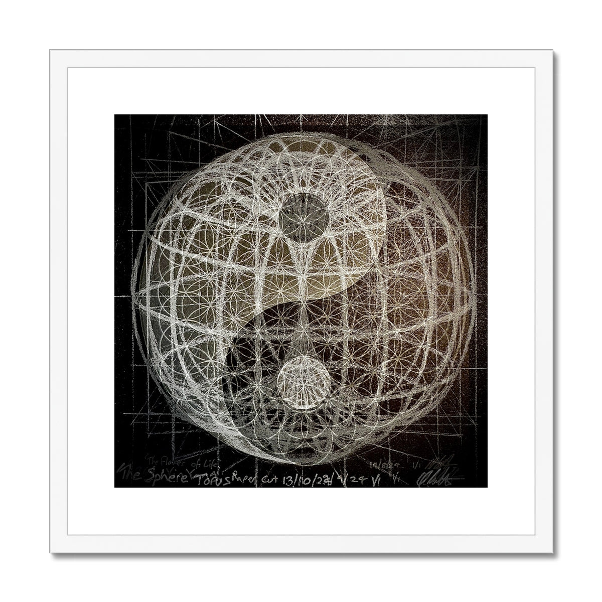 Yin Yang Torus Flower of Life 2 Framed & Mounted Print