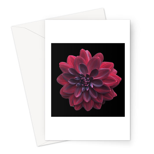 Red Dahlia Print Greeting Card - Nature of Flowers