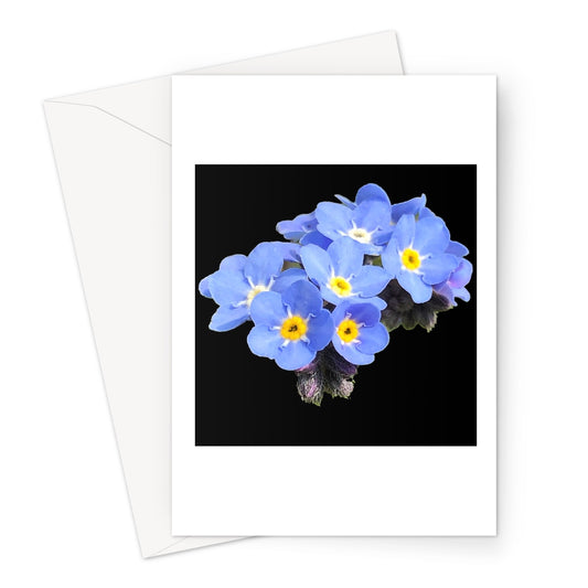 Forget me Not Print Greeting Card