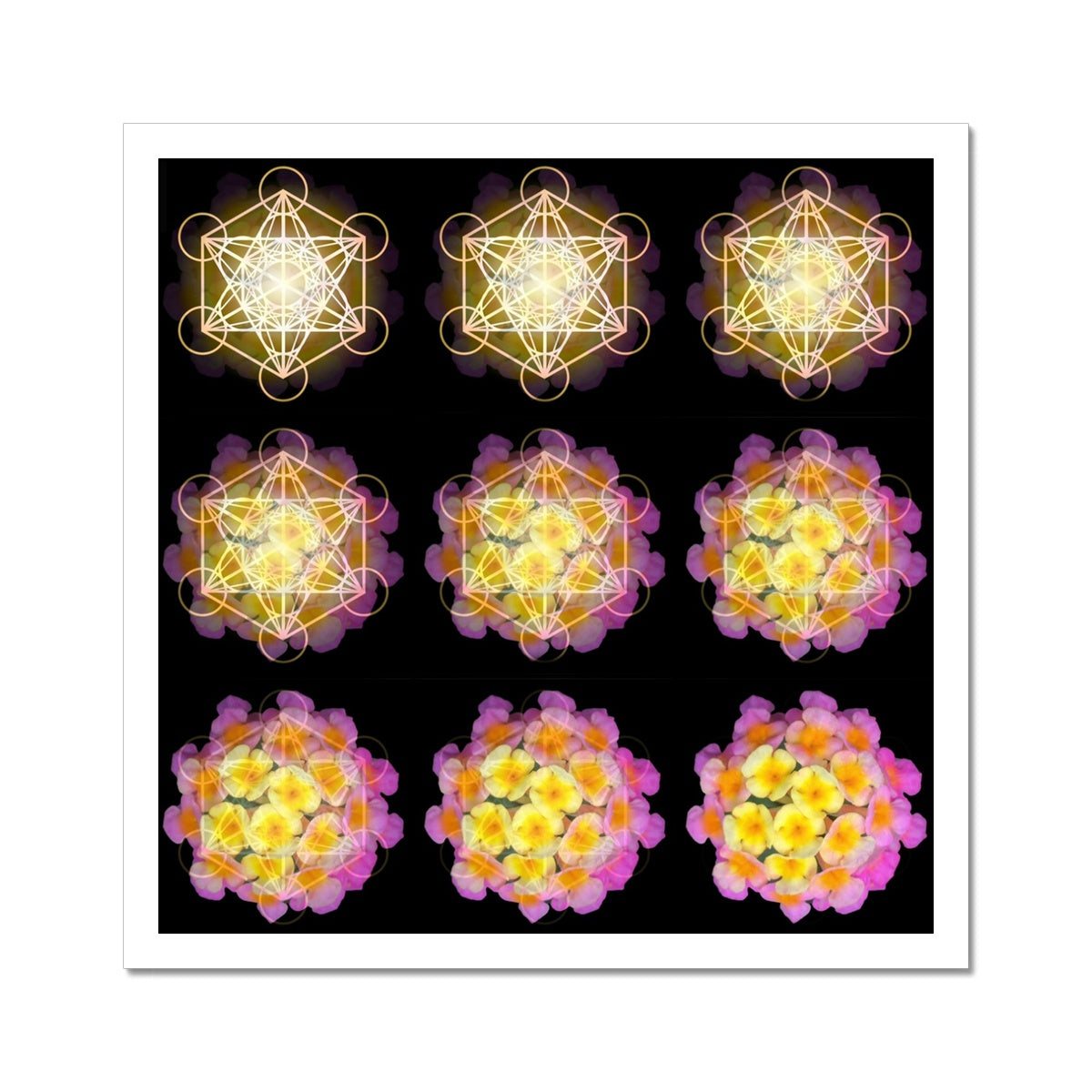 The Geometry of a Flower 2 C-Type Print โ Nature of Flowers