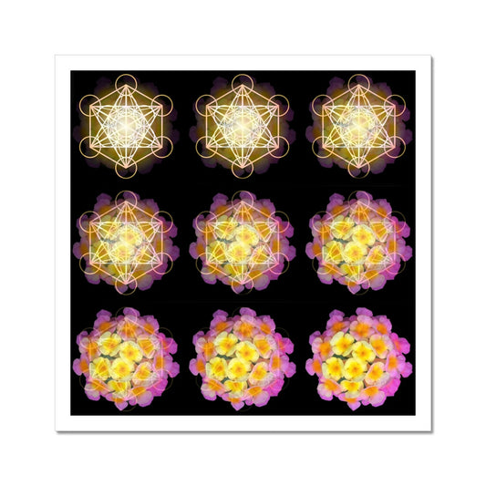 Flower Geometry Problems The Geometry of a Flower 2