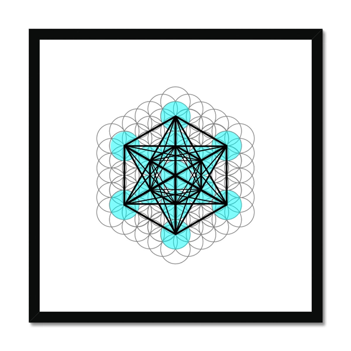 Fruit of Life, Metatron’s Cube Framed & Mounted Print - Nature of Flowers