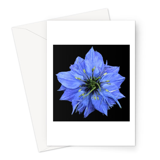 Blue Flower Print 'Nigella Damascene Miss Jekyll' Greeting Card - Nature of Flowers