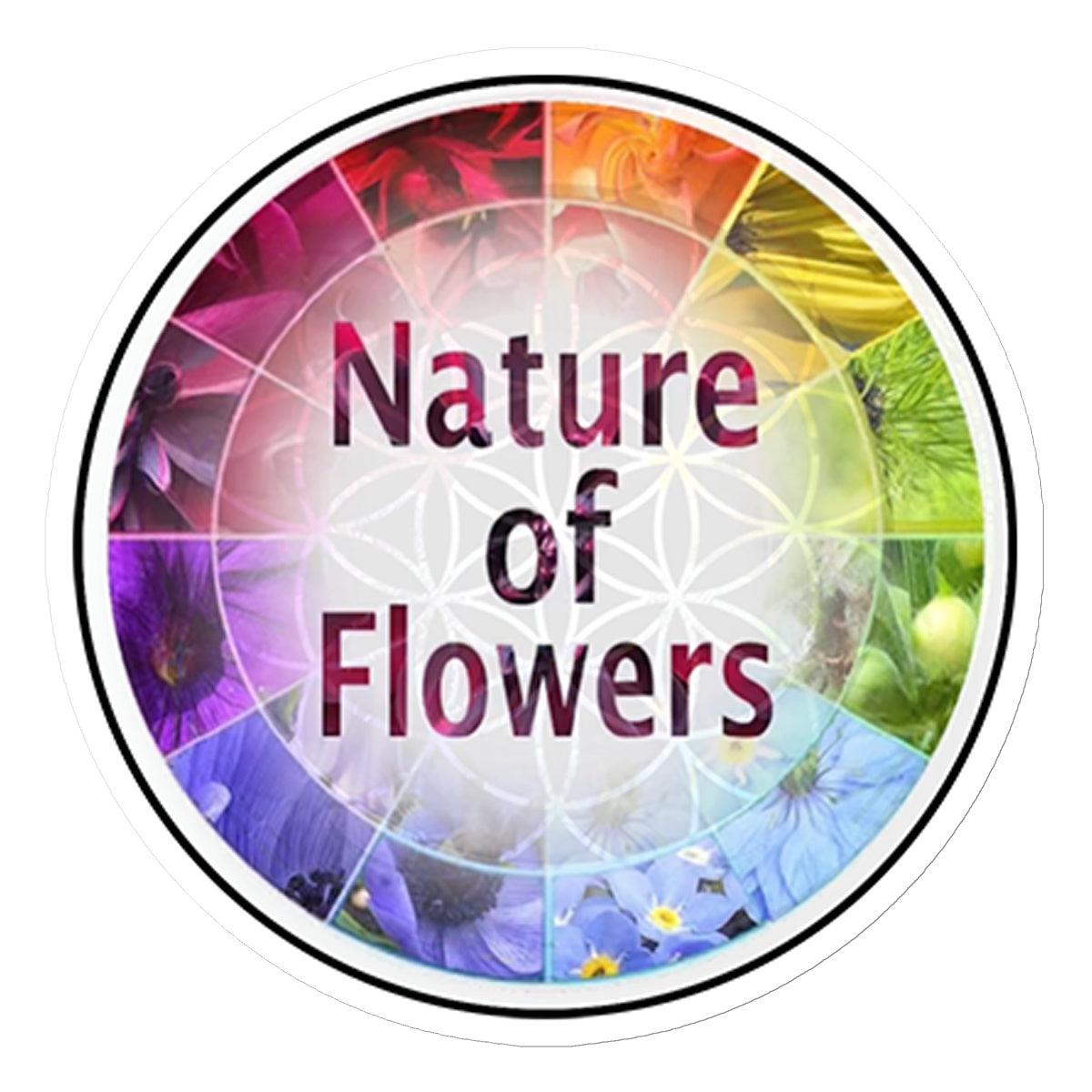 Nature of Flower Logo Sticker in