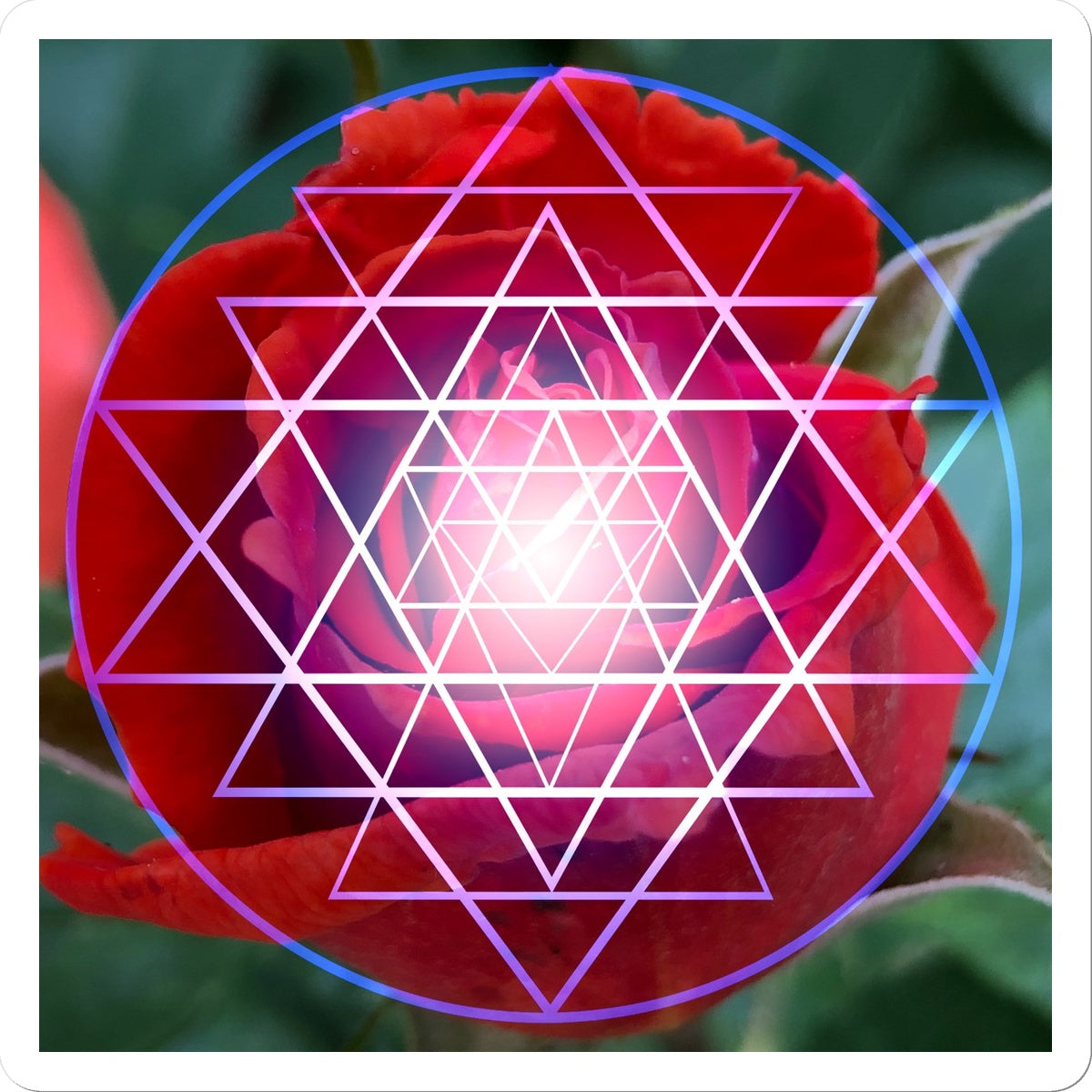 Red Rose Shri Yantra Sticker - Nature of Flowers