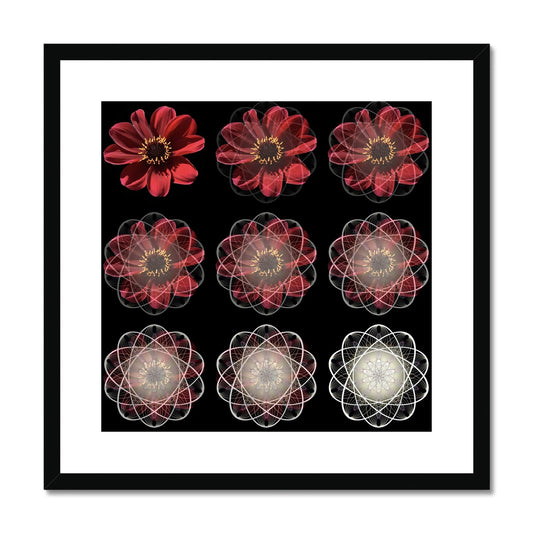 The Geometry of Flowers 4 Framed & Mounted Print