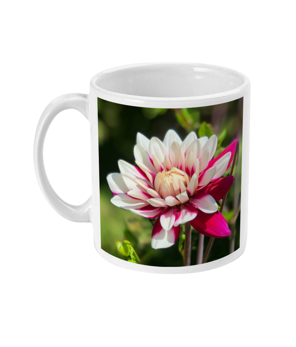 “Open For Business” Pink Dahlia Double Flower Mug - Nature of Flowers