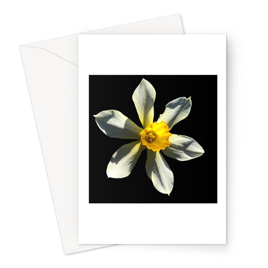 Daffodil Flower Print Greeting Card - Nature of Flowers