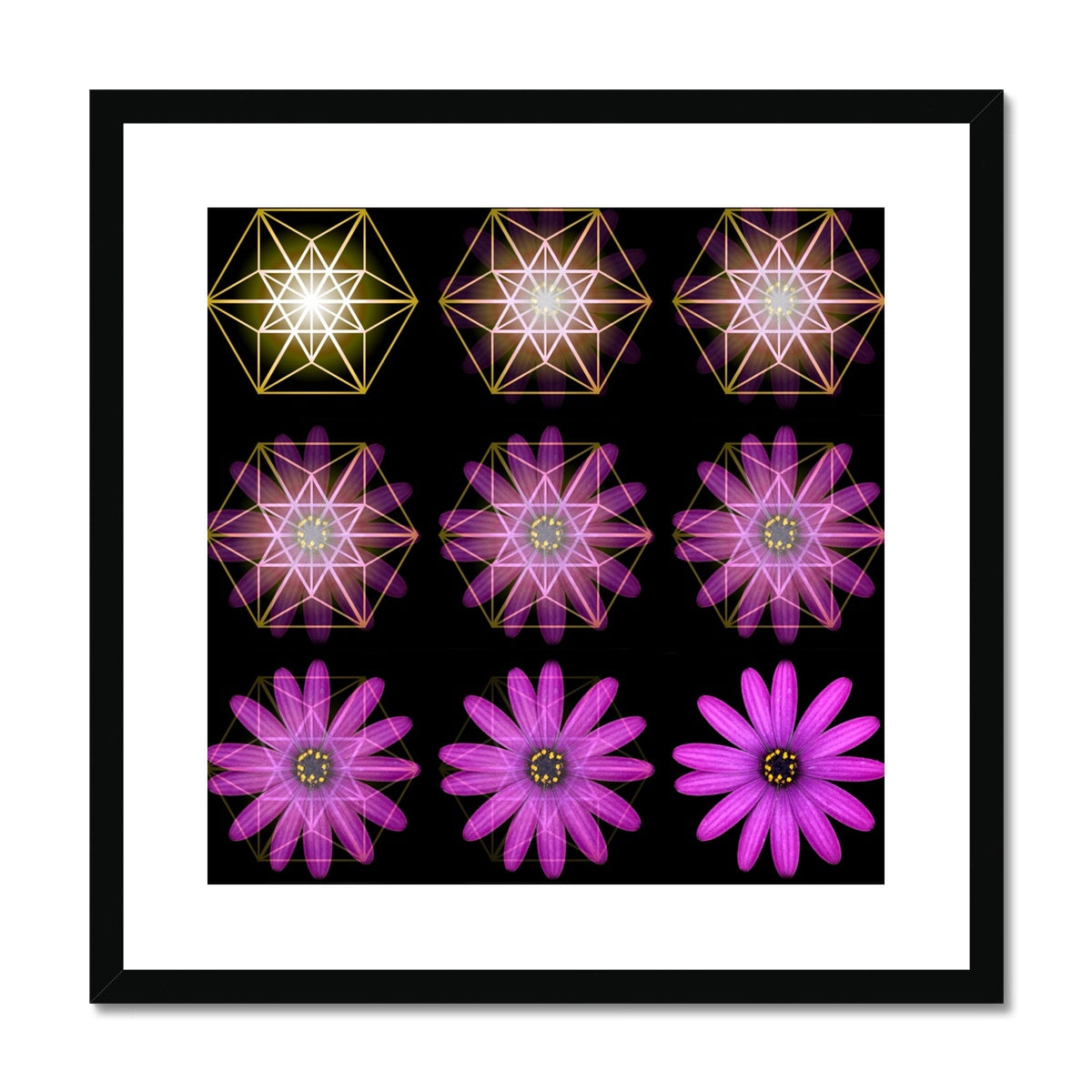 The Geometry of a Flower 1 Framed & Mounted Print