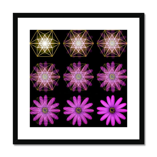 Flower Geometry Problems The Geometry of a Flower 1