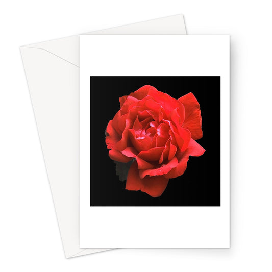 Red Rose Print Greeting Card - Nature of Flowers