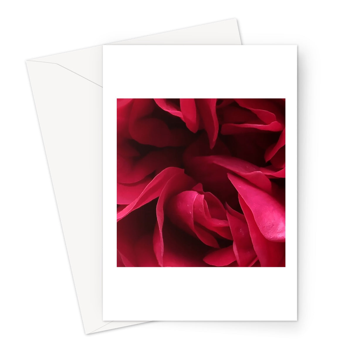 Red Rose Macro Flower Greeting Card